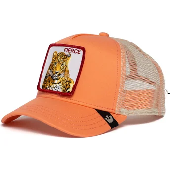shapka-izvita-traker-roza-snapbek-fierce-tiger-the-farm-ot-goorin-bros