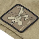 shapka-kafyav-bon-coy1-kojot-looney-tunes-ot-capslab