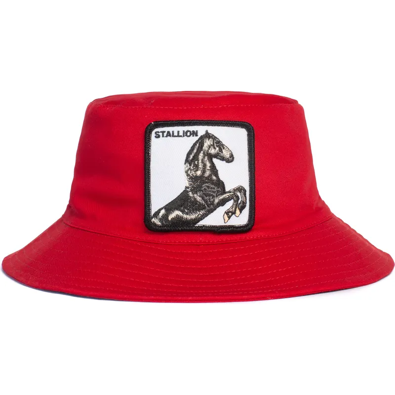 kofa-chervena-stallion-im-a-little-hoarse-the-farm-ot-goorin-bros