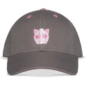 shapka-izvita-siv-snapbek-rosa-ot-difuzed
