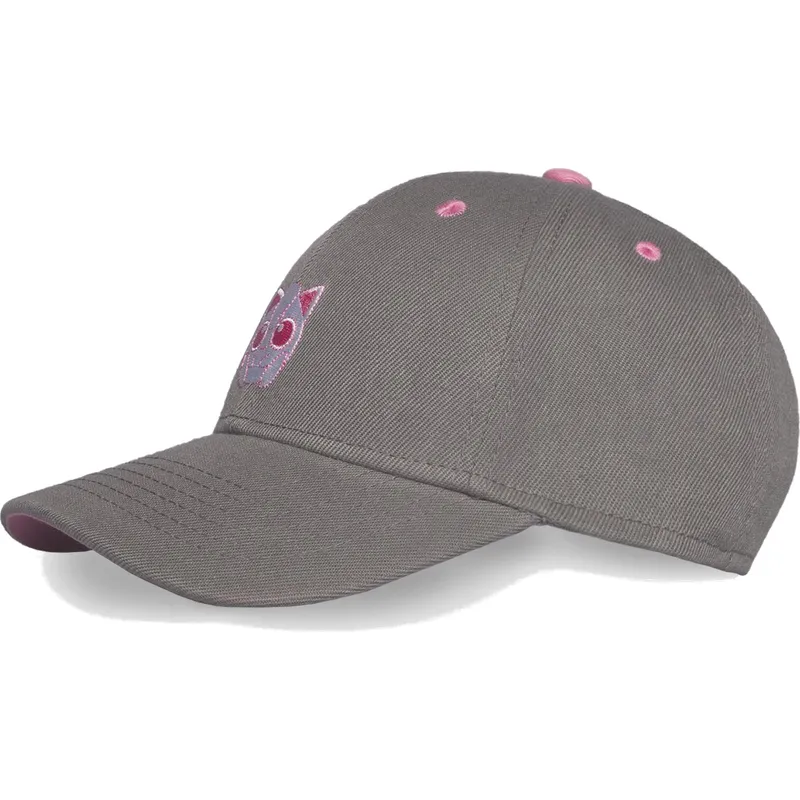 shapka-izvita-siv-snapbek-rosa-ot-difuzed