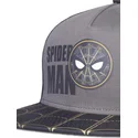 shapka-ploska-cherna-snapbek-trucker-ot-difuzed