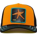 shapka-izvita-traker-oranzhev-snapbek-na-mar-baby-i-m-a-star-the-farm-ot-goorin-bros