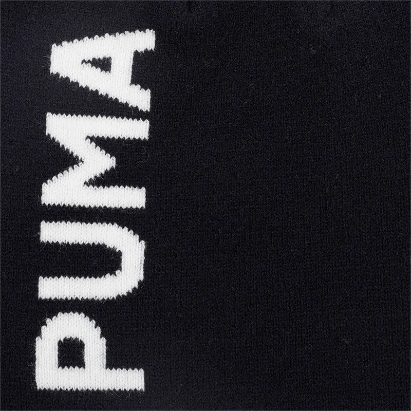 shapka-tmnosin-essentials-classic-cuffless-ot-puma