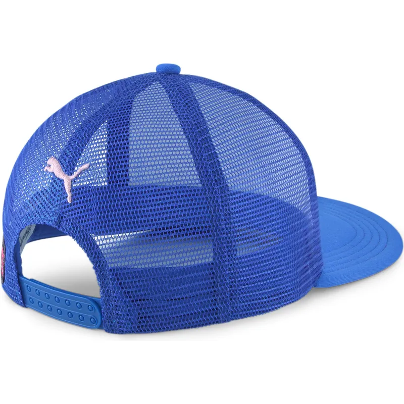 shapka-ploska-traker-sinya-snapbek-freaks-hometown-heroes-x-sports-herzo-cats-ot-puma