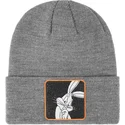 shapka-siv-bon-tbu2-bgs-bni-looney-tunes-ot-capslab