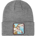 shapka-siv-bon-coy2-kojot-looney-tunes-ot-capslab