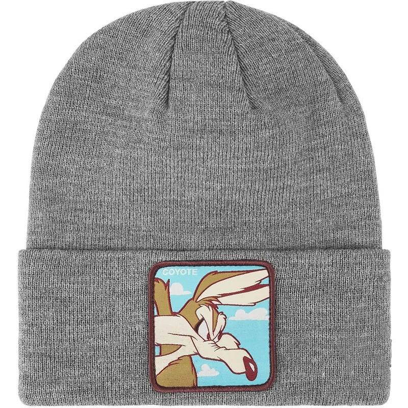 shapka-siv-coyote-bon-coy2-looney-tunes-kojot-looney-tunes-ot-capslab