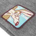 shapka-siv-bon-coy2-kojot-looney-tunes-ot-capslab