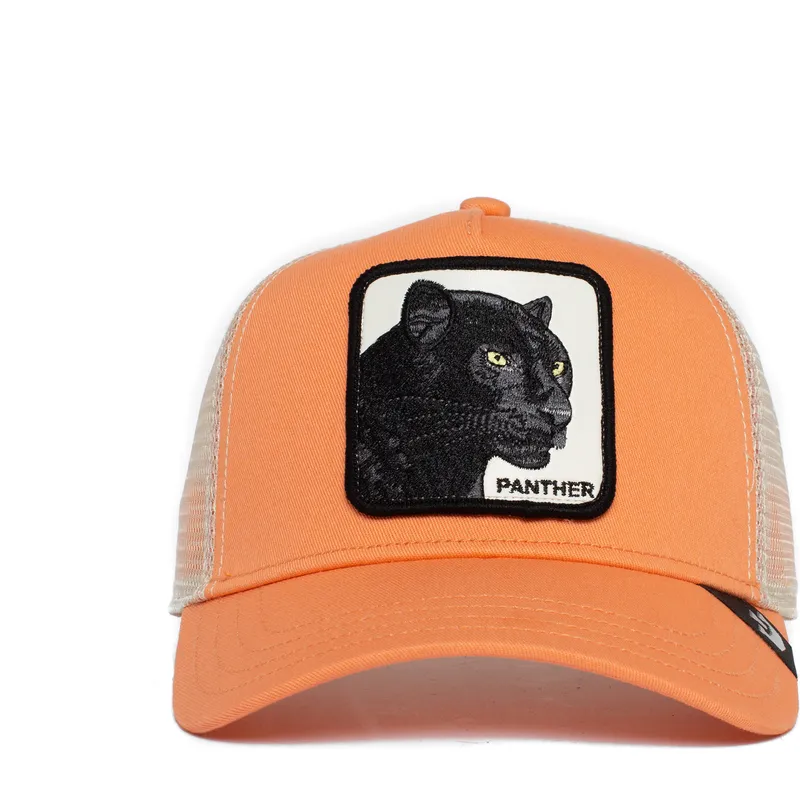 shapka-izvita-traker-roza-snapbek-the-panther-the-farm-ot-goorin-bros