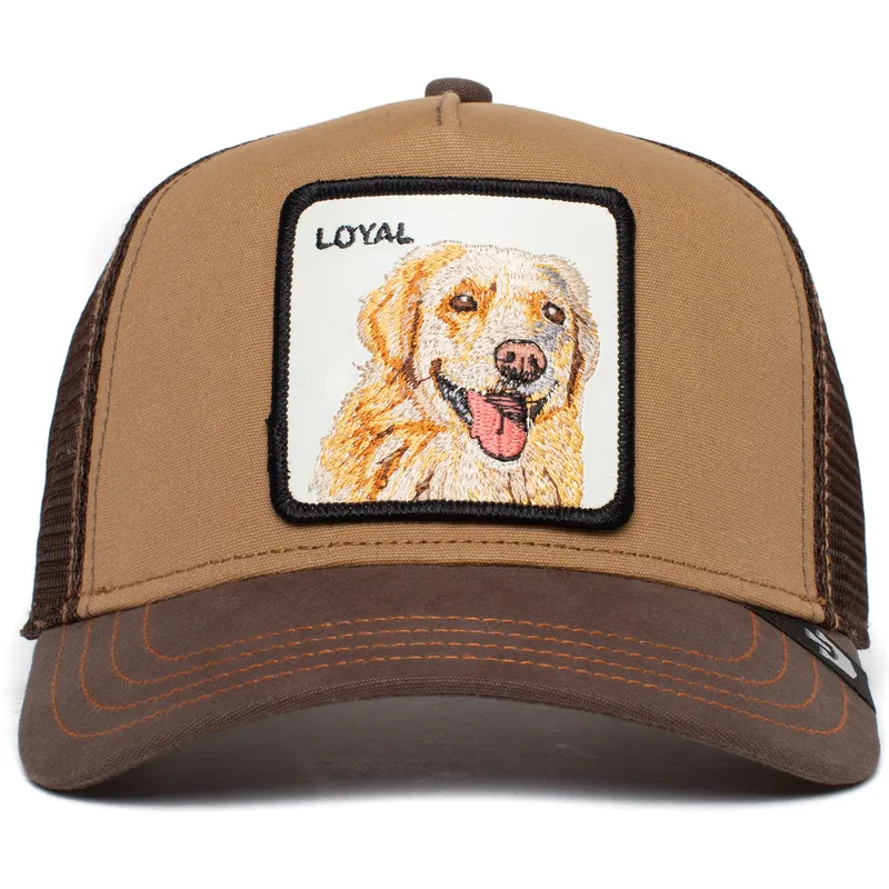 shapka-izvita-traker-kafyav-snapbek-the-loyal-dog-the-farm-ot-goorin-bros
