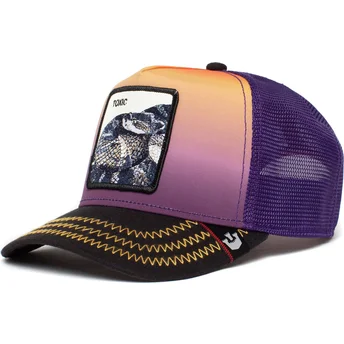 shapka-izvita-traker-violetka-snapbek-toxic-the-farm-ot-goorin-bros