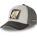 shapka-izvita-siv-reguliruem-tj4-tom-i-dzheri-looney-tunes-ot-capslab