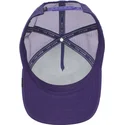 shapka-izvita-traker-violetka-snapbek-the-lone-wolf-the-farm-ot-goorin-bros