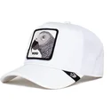 shapka-izvita-traker-byala-snapbek-platinum-word-the-farm-ot-goorin-bros