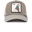 shapka-izvita-siv-snapbek-paloma-homie-pigeon-100-the-farm-all-over-canvas-the-farm-ot-goorin-bros