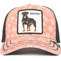 shapka-izvita-traker-roza-snapbek-bad-boy-lovesexy-the-farm-paisley-the-farm-ot-goorin-bros