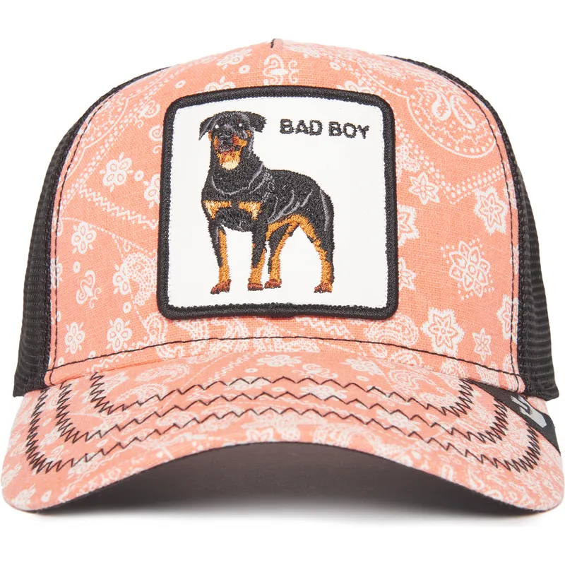 shapka-izvita-traker-roza-snapbek-bad-boy-lovesexy-the-farm-paisley-the-farm-ot-goorin-bros