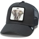 shapka-izvita-traker-cherna-snapbek-the-big-elephant-global-core-the-farm-ot-goorin-bros