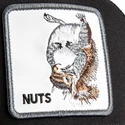 shapka-izvita-shapka-traker-cherna-snapbek-ardilla-nuts-lerriuqs-flip-side-2-the-farm-the-farm-ot-goorin-bros