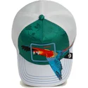 shapka-izvita-traker-zelena-snapbek-guapo-honduras-macaw-the-farm-ot-goorin-bros