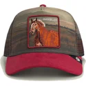 shapka-izvita-traker-mnogocveten-snapbek-gambler-stallion-in-the-element-the-farm-ot-goorin-bros