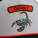 shapka-izvita-shapka-traker-siv-snapbek-escorpion-pop-rocker-scorpion-the-farm-the-farm-ot-goorin-bros