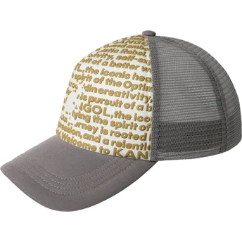 Шапка извита тракер сив снапбек Fine Print от Kangol