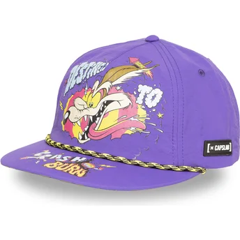 Violet flat snapback kasket Coyote LOO13 DTCB Looney Tunes fra Capslab