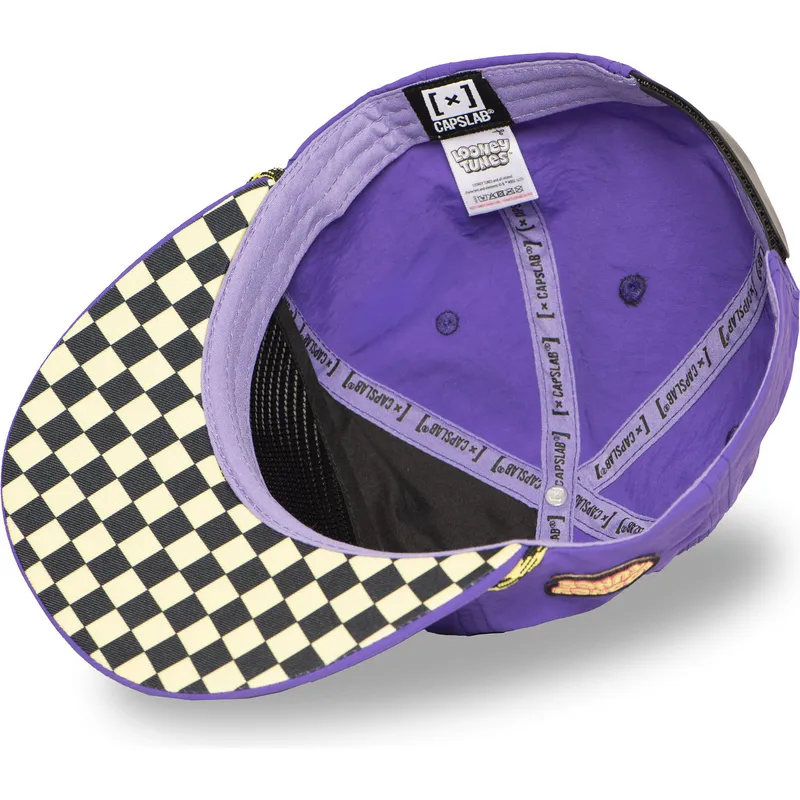 shapka-ploska-violetka-snapbek-loo13-dtcb-kojot-looney-tunes-ot-capslab