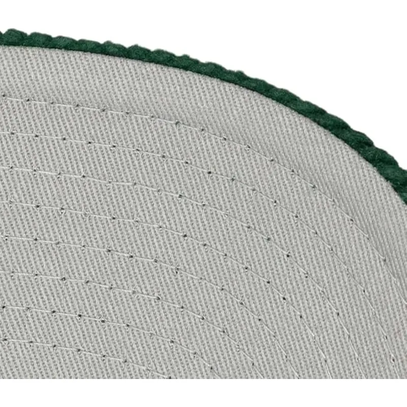 snapback-arch-stamp-pro-anaheim-ducks-nhl-mitchell-ness