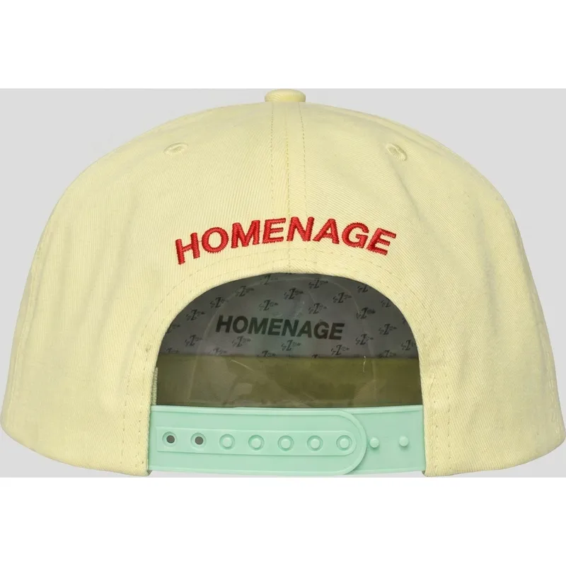 homenage-curved-brim-money-music-shapes-identity-the-snap-multicolor-snapback-cap