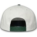 homenage-curved-brim-liberty-sport-the-retro-bezhova-i-zelena-shapka-s-ploska-kozirka