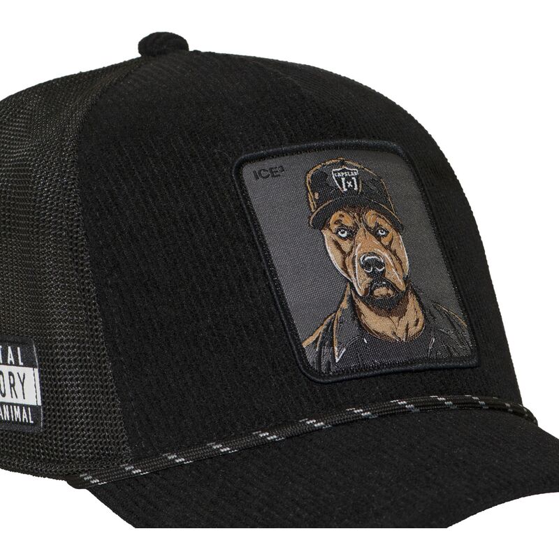 shapka-izvita-cherna-snapbek-hip-hop-dogz-ot-capslab