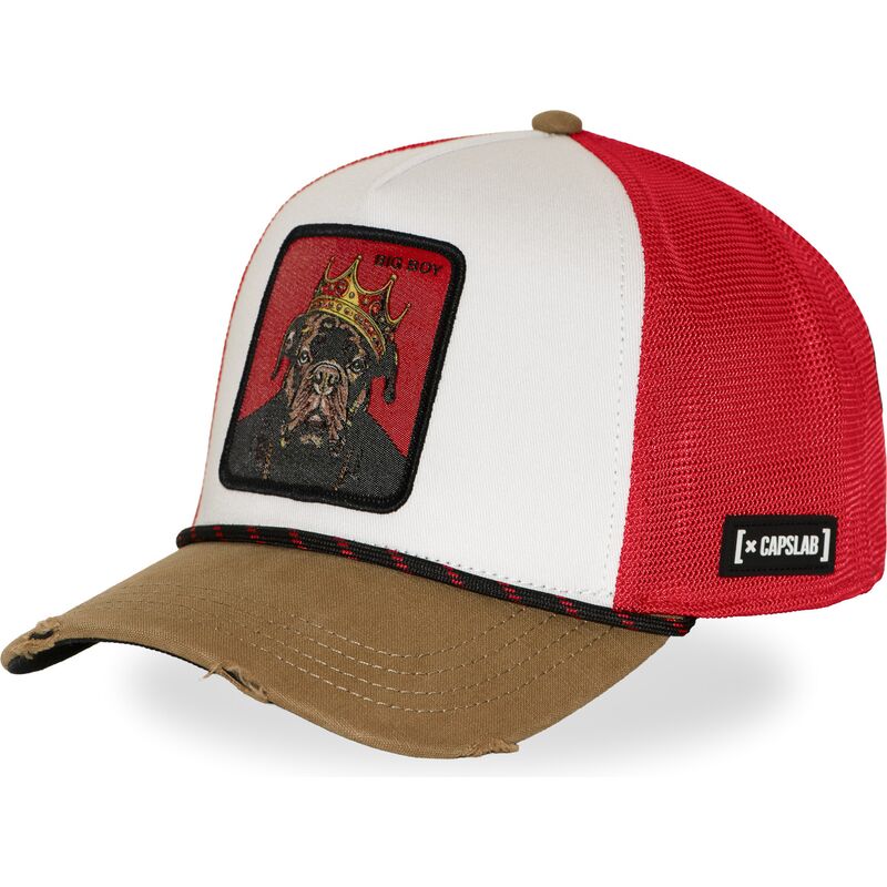 shapka-izvita-mnogocveten-snapback-hip-hop-dogz-ot-capslab