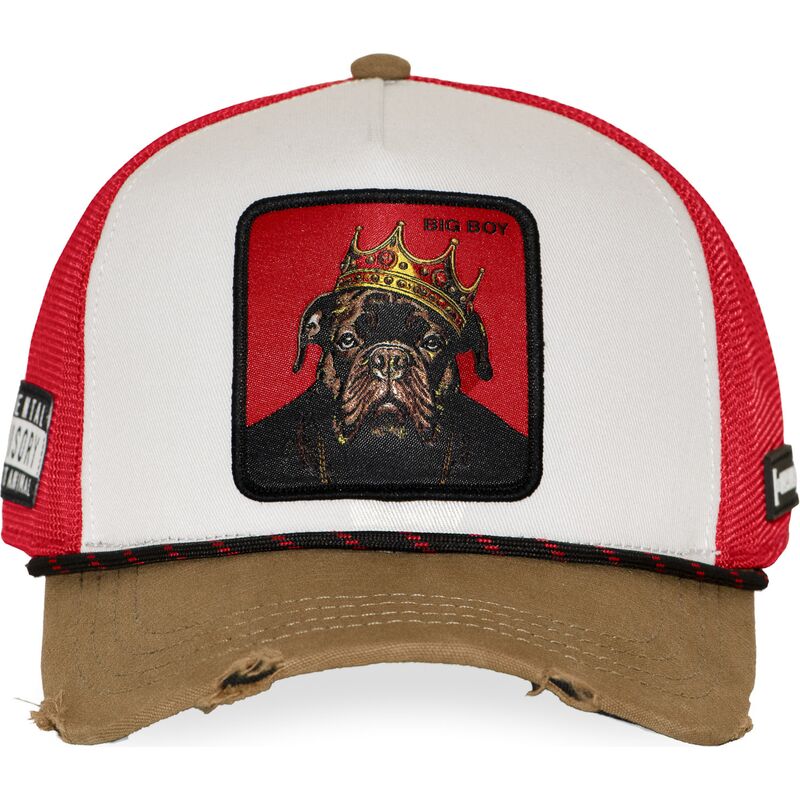 capslab-big-boy-hip-bigb-hip-hop-dogz-multicolor-trucker-hat