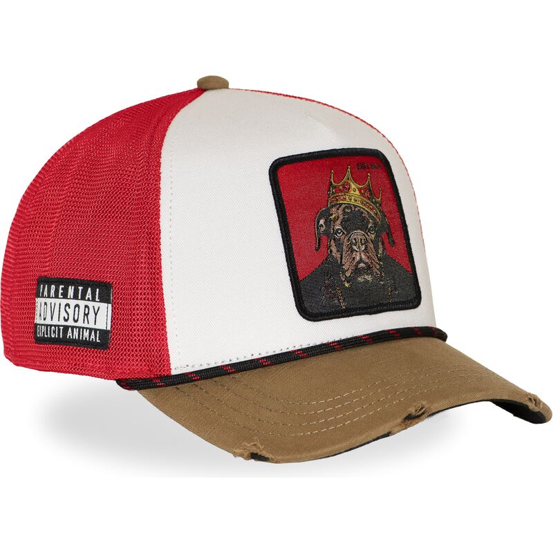 shapka-izvita-mnogocveten-snapbek-hip-hop-dogz-ot-capslab shapka-izvita-mnogocveten-snapbek-hip-hop-dogz-ot-capslab