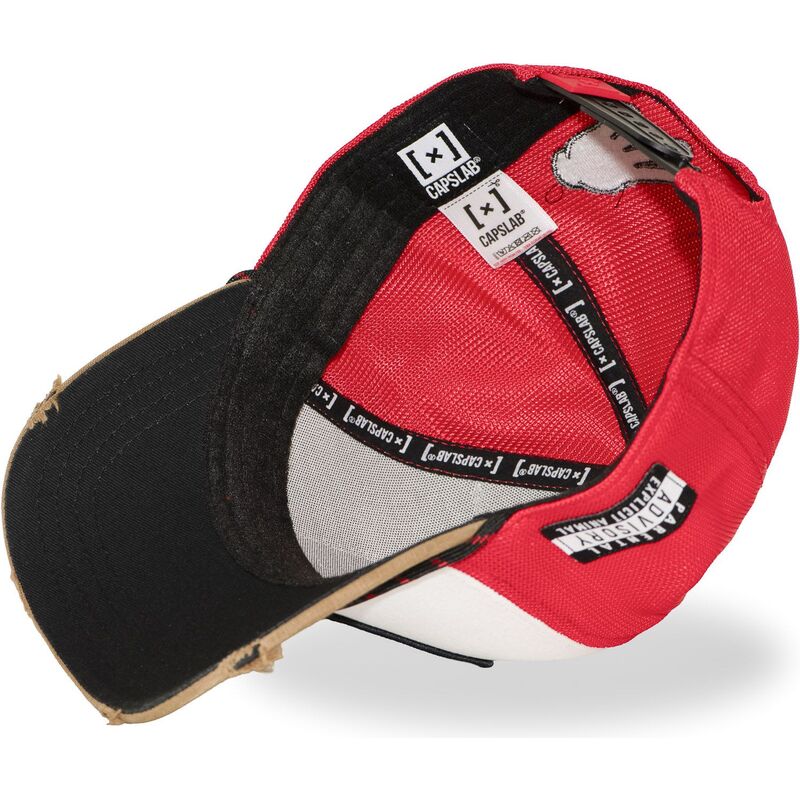 shapka-izvita-mnogocveten-snapback-hip-hop-dogz-ot-capslab