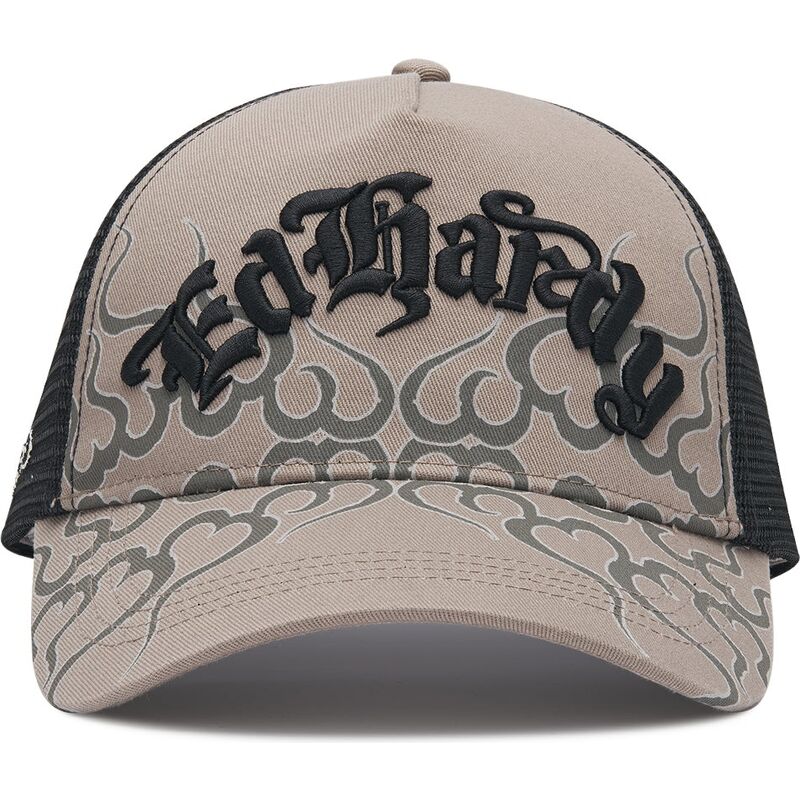 shapka-izvita-traker-siv-snapbek-flaming-ot-ed-hardy