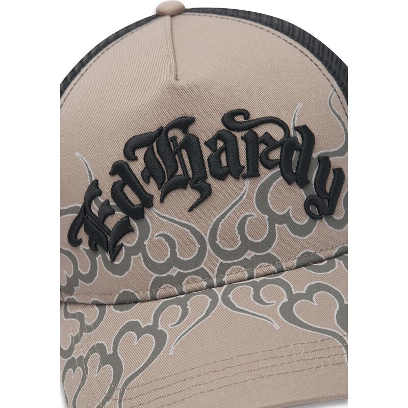 shapka-izvita-traker-siv-snapbek-flaming-ot-ed-hardy