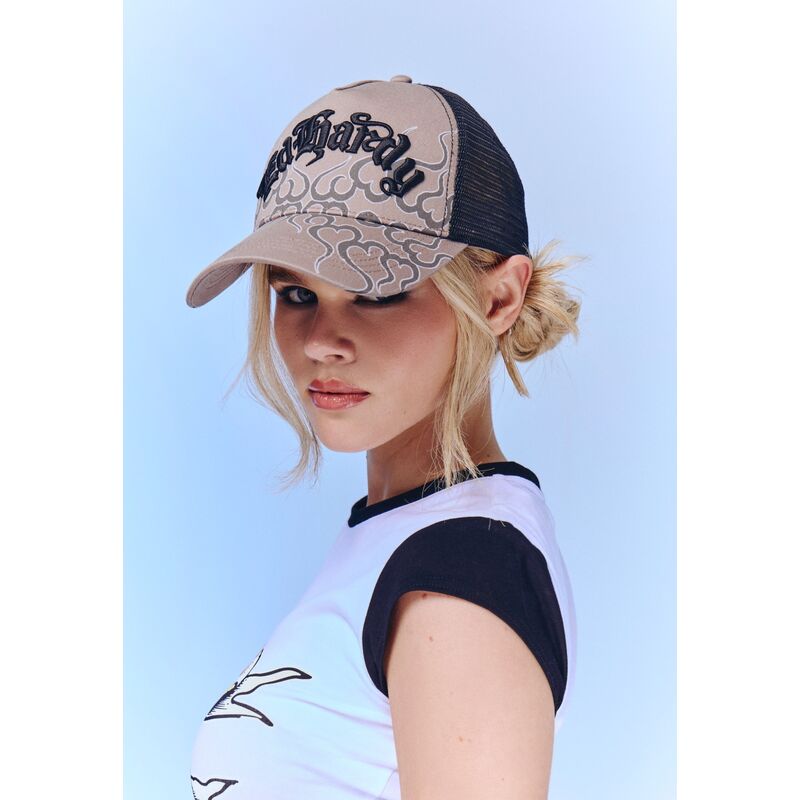 shapka-izvita-traker-siv-snapbek-flaming-ot-ed-hardy