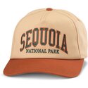 shapka-izvita-kafyav-snapbek-roscoe-na-sequoia-national-park-ot-american-needle