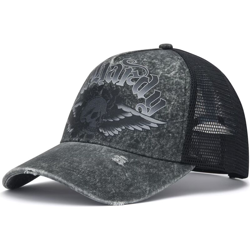 shapka-izvita-traker-siv-snapbek-flaming-gothic-skull-washed-ot-ed-hardy shapka-izvita-traker-siv-snapbek-flaming-gothic-skull-washed-ot-ed-hardy
