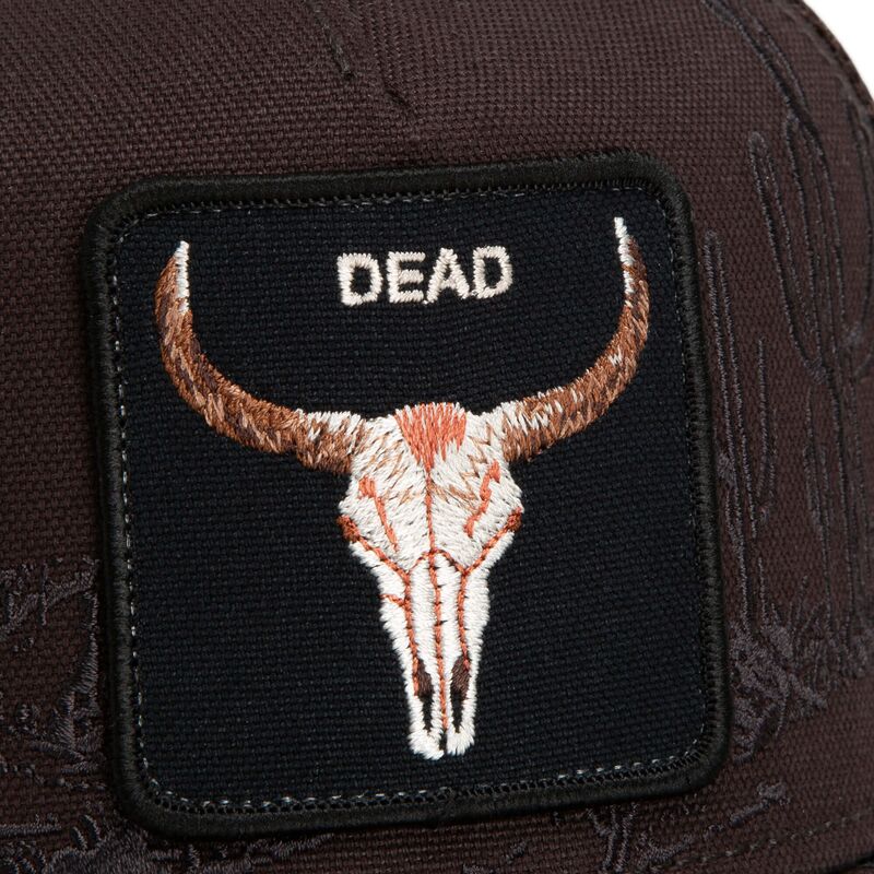 shapka-izvita-traker-kafyav-snapbek-skull-badlands-dead-the-farm-goorin-bros