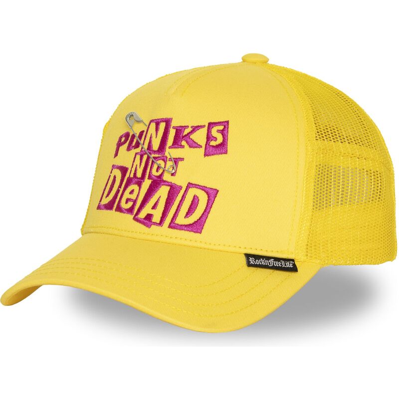 shapka-izvita-traker-zhlt-snapbek-n294-punks-not-dead-ot-rocknfreelife