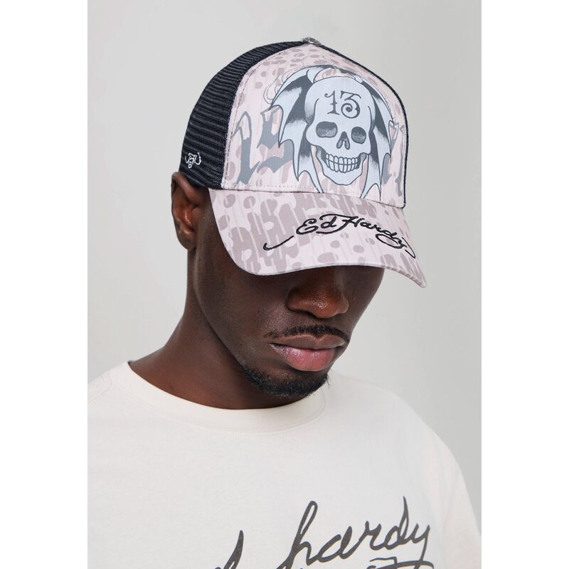 shapka-izvita-traker-siv-snapbek-13-skull-ot-ed-hardy
