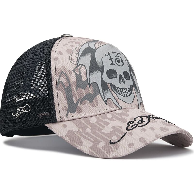 shapka-izvita-traker-siv-snapbek-13-skull-ot-ed-hardy